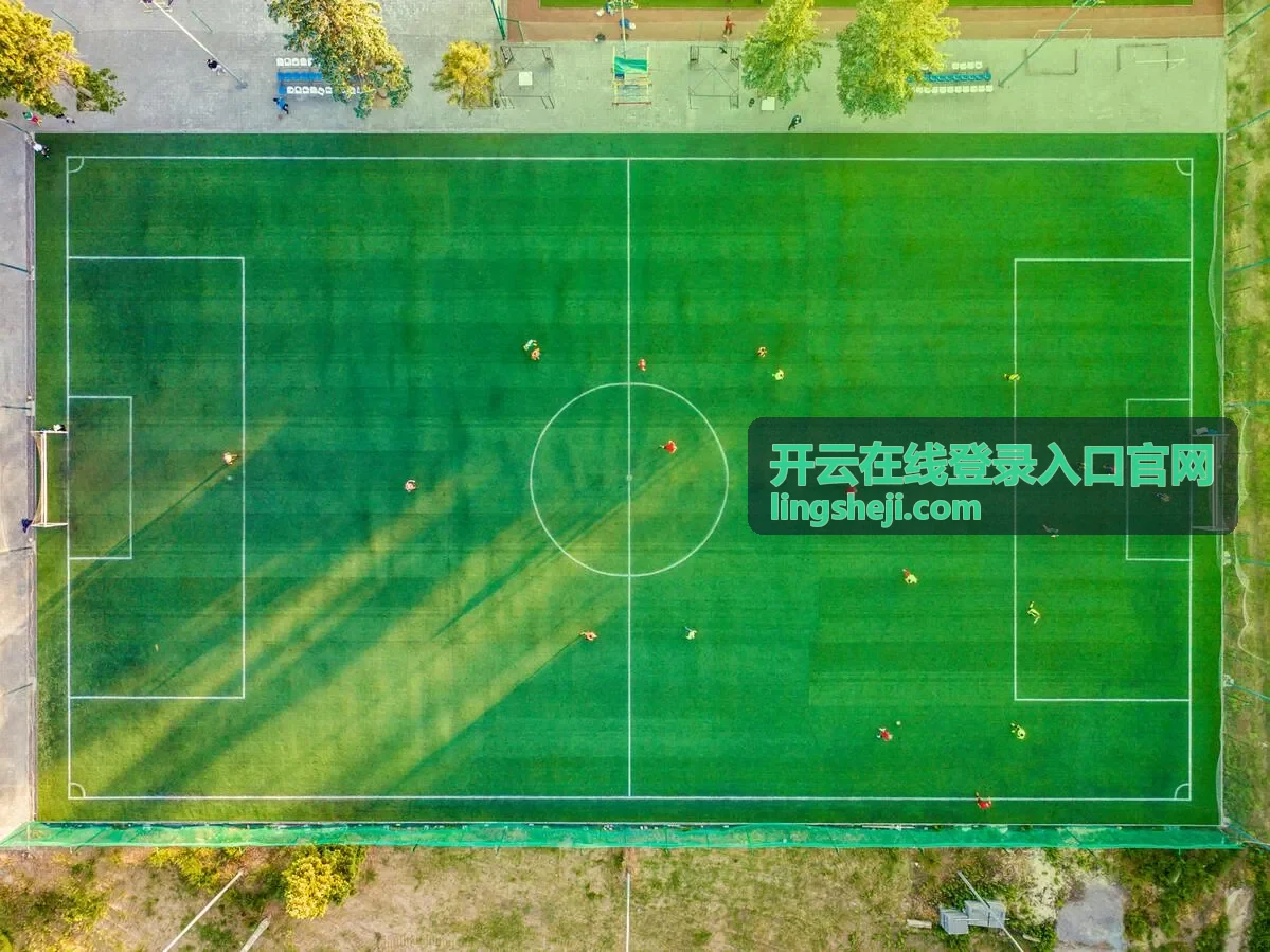 开云在线登录入口官网的登录入口地址核对页面示意