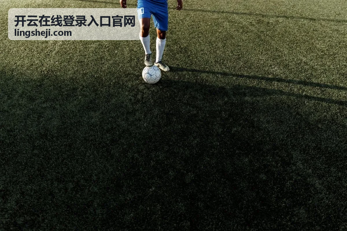 账号安全验证登录记录核对 - 开云在线登录入口官网