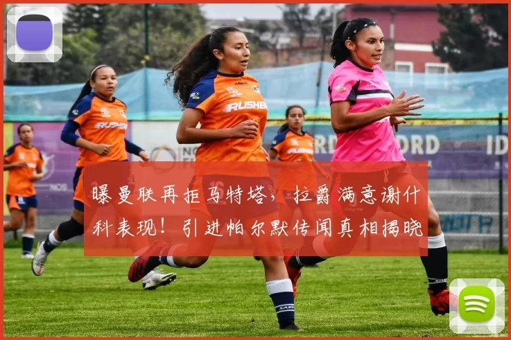 曝曼联再拒马特塔,拉爵满意谢什科表现!引进帕尔默传闻真相揭晓