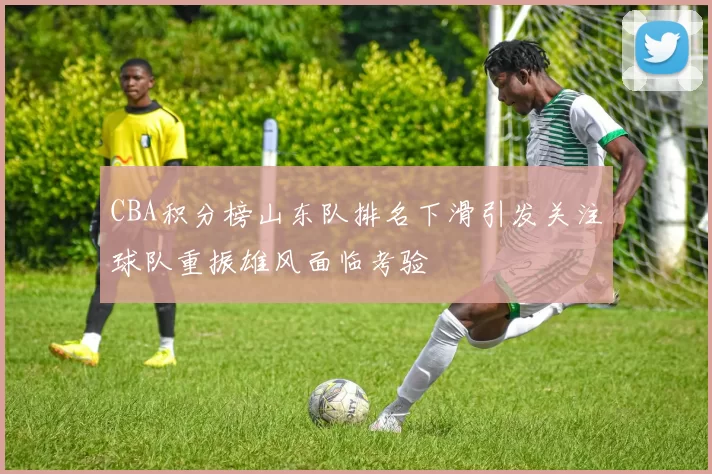 CBA积分榜山东队排名下滑引发关注球队重振雄风面临考验