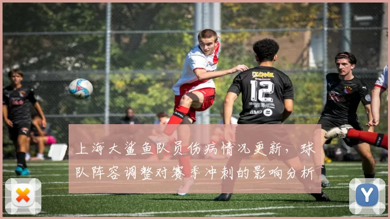 上海大鲨鱼队员伤病情况更新，球队阵容调整对赛季冲刺的影响分析