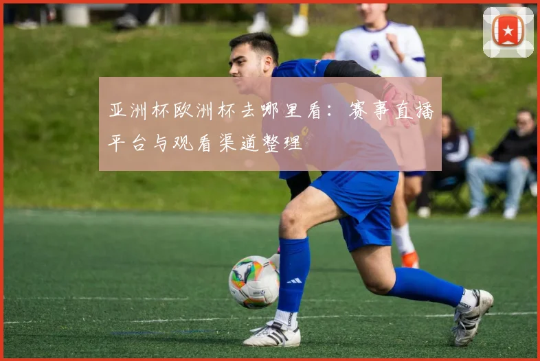 亚洲杯欧洲杯去哪里看：赛事直播平台与观看渠道整理