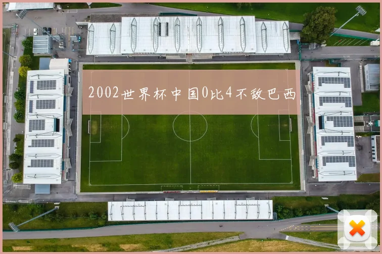 2002世界杯中国0比4不敌巴西