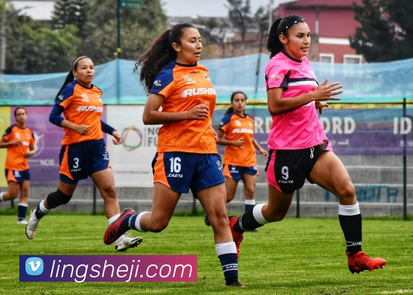 App Interface Preview