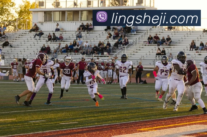 米兰体育在线登录官网APP 封面图